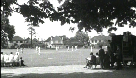 Cricket field 2